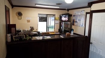 Budget Inn Edinburg Bagian luar foto